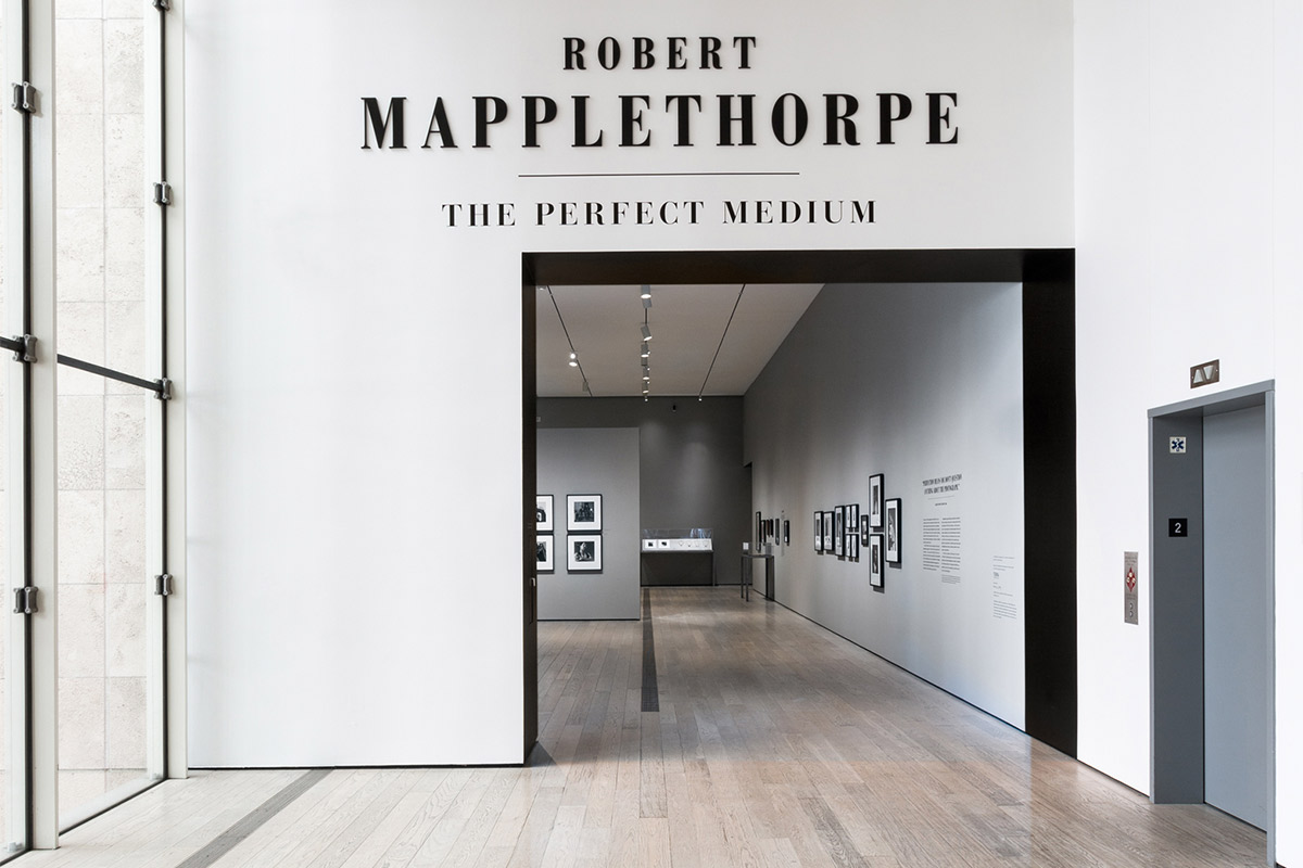ex8089_robert-mapplethorpe-the-perfect-medium_a_labeled-1