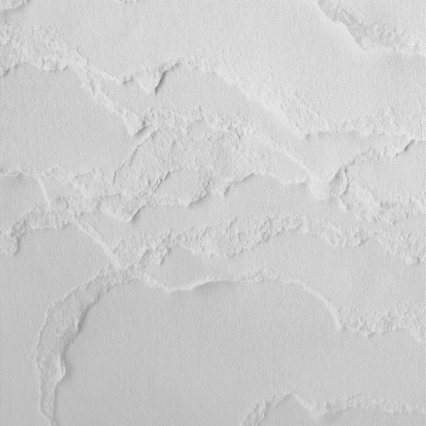 tpt-web_edit_topographies_winterii-1600x1133-1
